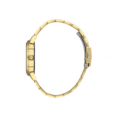 Ceas pentru dama, Freelook Naturelle, FL.1.10389.3 [1]