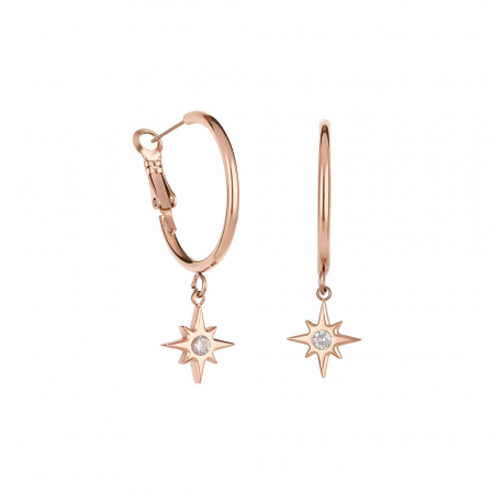 Fashion - Cercei auriu rose, Freelook, pentru dama, din otel inoxidabil, FRJ.3.5009-4