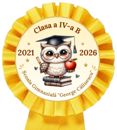Cocarde Absolvire Personalizate - Clasa Florilor [2]