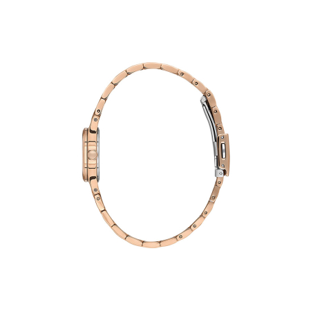 Daniel Klein Premium - Ceas Dama Quartz Auriu Rose DK.1.14164-5 [1]