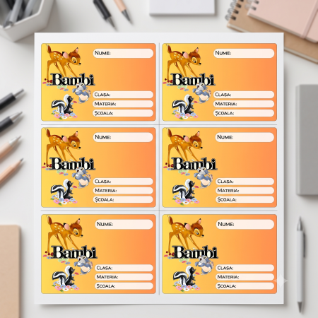 Scoli & Gradinite - Etichete Școlare cu Nume– Stickere Autoadezive pentru Copii ❤️ E-Cadou.com - e-CADOU