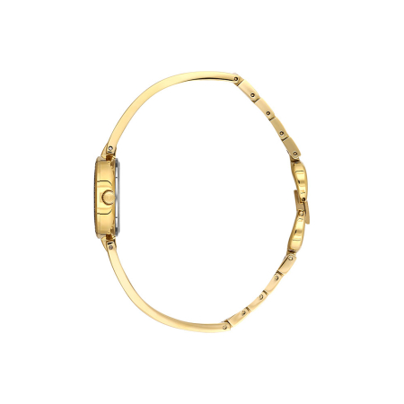 Freelook Lumiere - Ceas Dama Quartz Auriu FL.1.10536-3 [1]