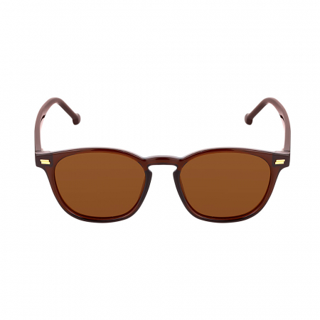Fashion - Ochelari de soare cafenii, pentru dama, Daniel Klein Trendy, DK3256-3