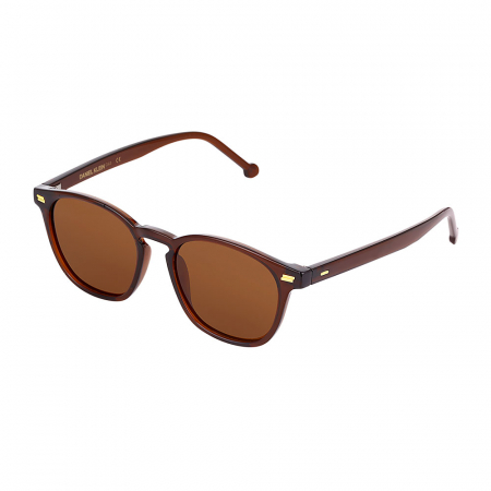 Ochelari de soare cafenii, pentru dama, Daniel Klein Trendy, DK3256-3 [1]