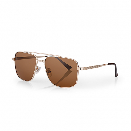 Fashion - Ochelari de soare maro, pentru barbati, Daniel Klein Sunglasses, DK3258-3