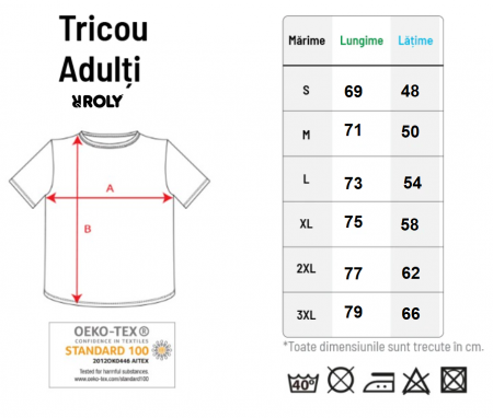 Set tricouri Family mama tata  si copil cu tematica de Craciun Merry Christmas, pentru un Craciun de poveste [2]