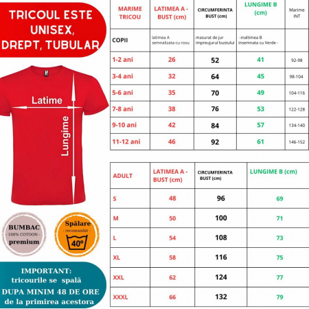 Tricou personalizat aniversar Birthday Princess pentru copii din bumbac [1]