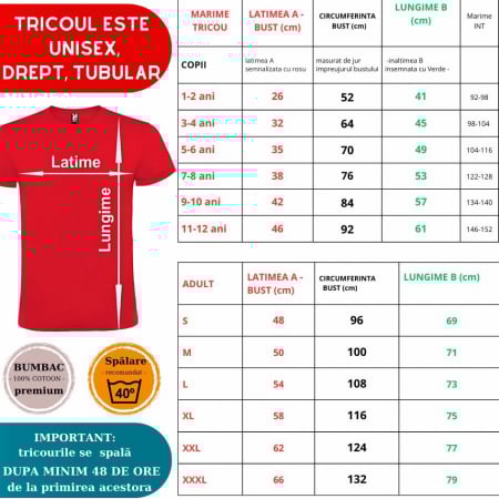 Tricou scolare Clasa albinutelor personalizat pentru absolventi de scoala sau gradinita [2]