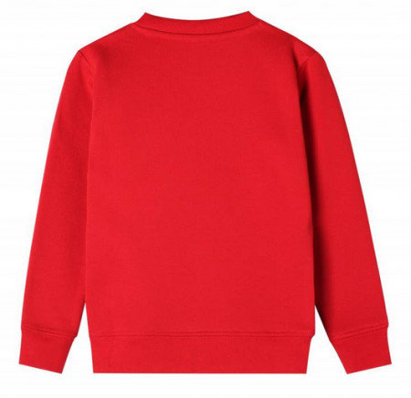 Bluza sport de copii cu mânecă lungă, vatuita pe interior, moale și pufosasa la interior BPU-B2167 [3]