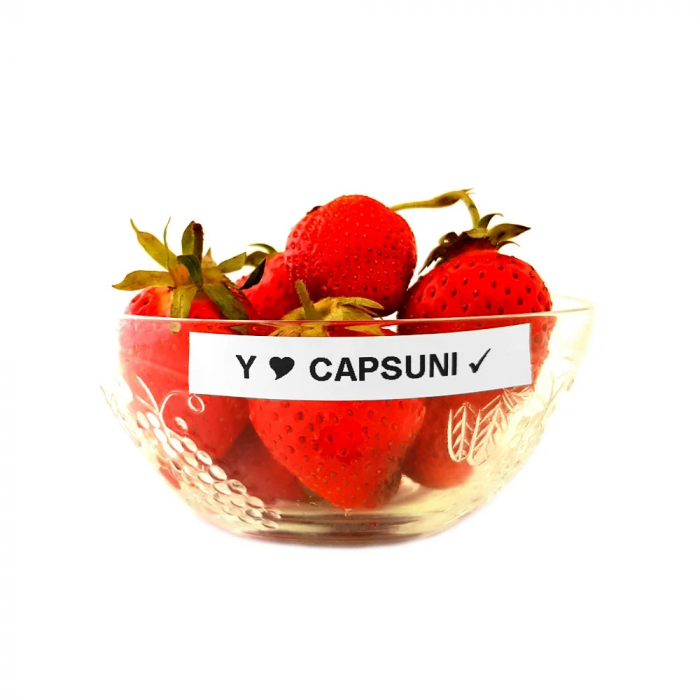 Etichete plastic alb 12mm x 4m Aymo ID1 compatibile Dymo Letratag 91221 91201 S0721660 [2]