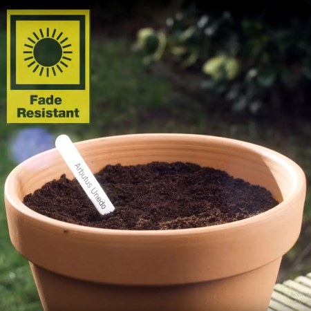 Set 15 Standard laminated labels compatible Brother TZe-231 12 mm black/white Aymo ID1 Brother 231 [5]