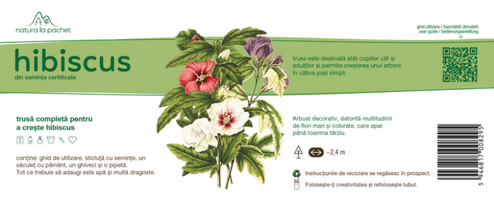 Set crestere si plantare hibiscus [2]