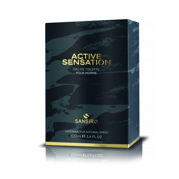 Active Sensation [3]