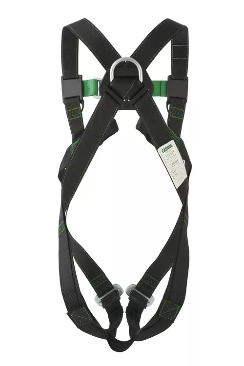 Centura complexa  in  2 puncte Coverguard FELIS [2]