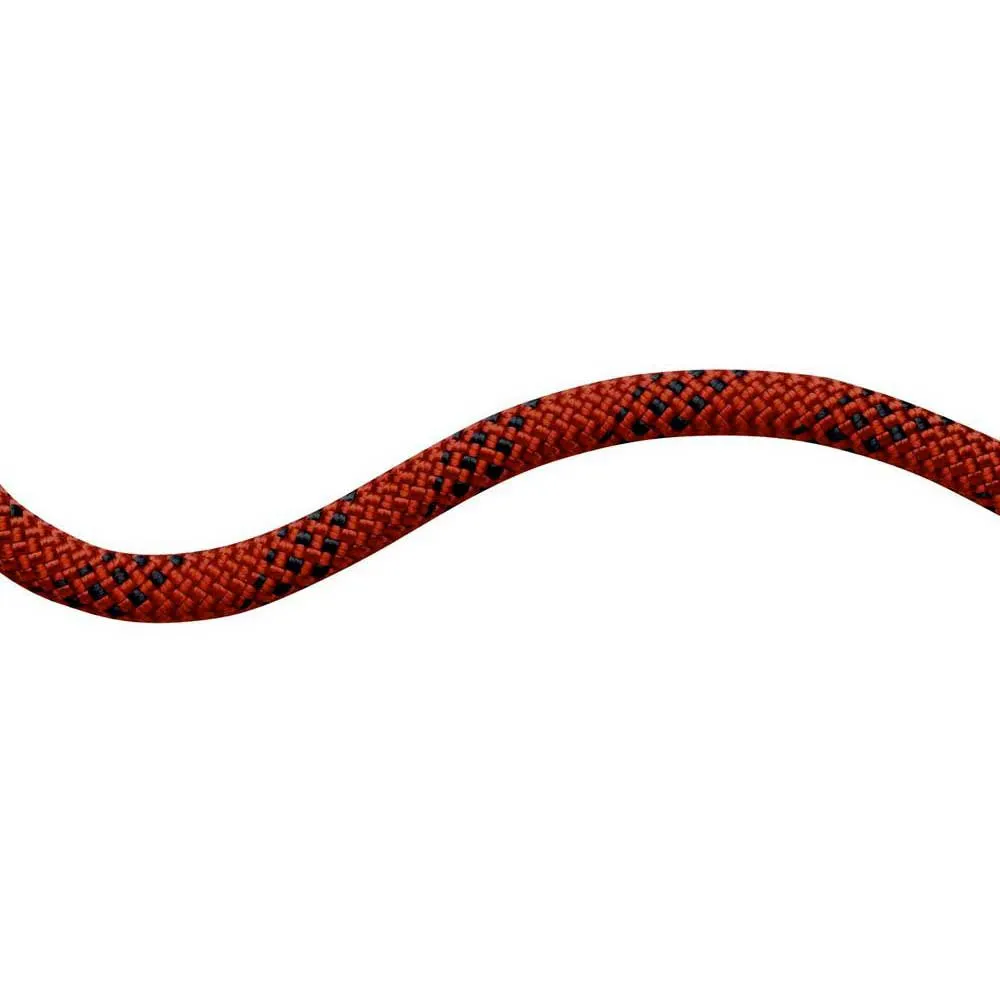 Coarda statica Mammut PERFORMANCE 10,5 mm, compatibila cu coborator RIG si ID'S [1]