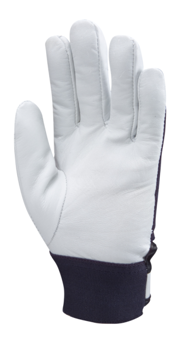 Manusi de protectie sofer Coverguard EUROSTRONG 860 1DRI860, piele capra [2]