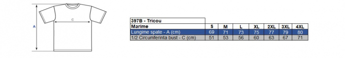Tricou polo reflectorizant Roly ATRIO, 55% bumbac, 45% poliester, 170 gr/mp [2]