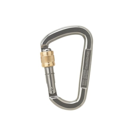 Carabiniere inchidere prin infiletare - Carabiniera AustriAlpin  D Asymm Stainless Sl | 40Kn, otel inoxidabil, cu inchidere prin infiletare