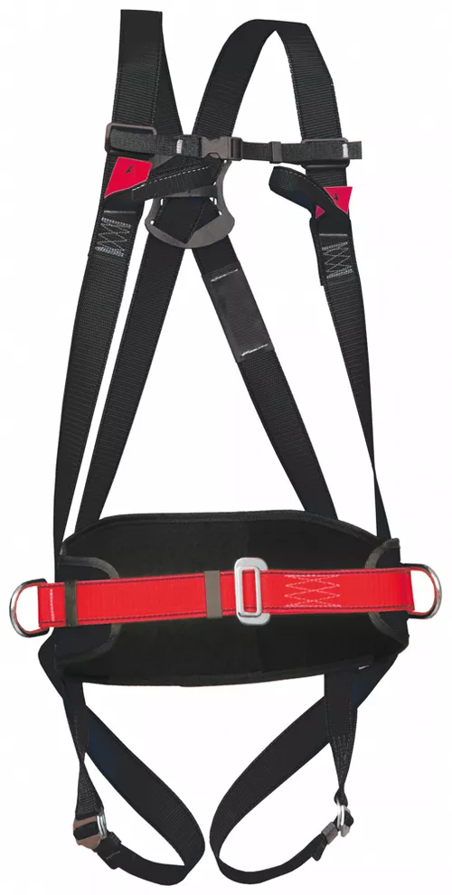 Centuri si hamuri de siguranta - Centura complexa combinata in 4 puncte Coverguard  CADO COLT5 AP05