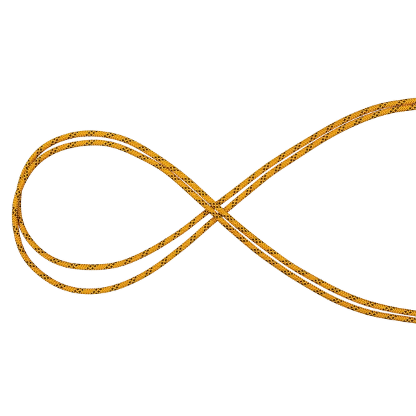 Coarda statica - Coarda statica Mammut PERFORMANCE 10 mm, compatibila cu blocator ASCENSION si BASIC