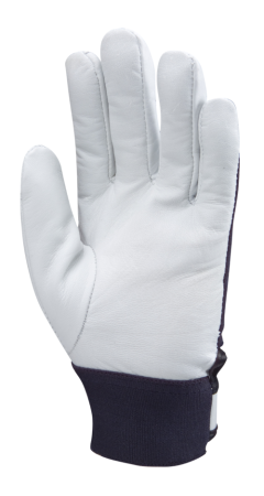 Manusi de protectie sofer Coverguard EUROSTRONG 860 1DRI860, piele capra [1]