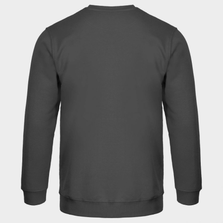 Bluza cu maneca lunga REMO GRI (TOURS) [3]