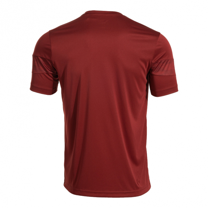 Tricou maneca scurta Championship VIII 104263.671 [2]