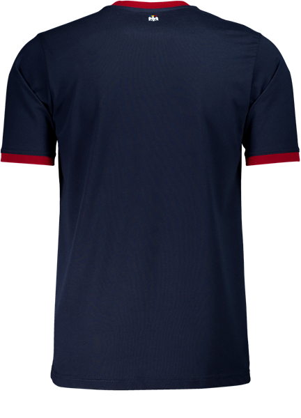 Tricou maneca scurta oficial de prezentare echipa nationala a Romaniei AH10601A3121 [2]