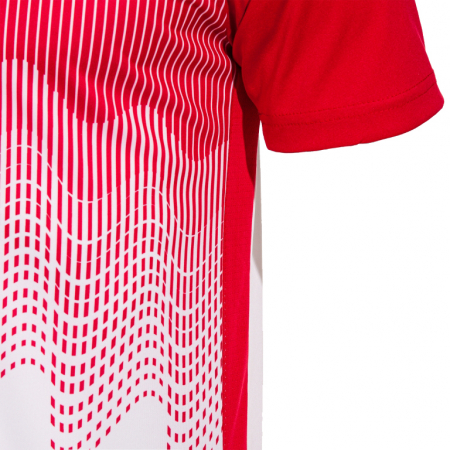 Tricou maneca scurta Tiger VI 103679.206 [4]