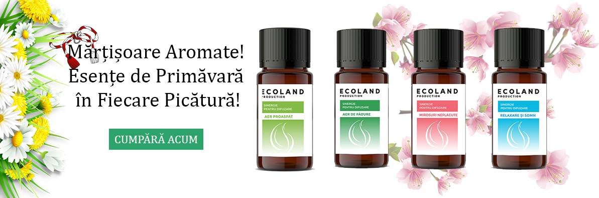 EcoLand