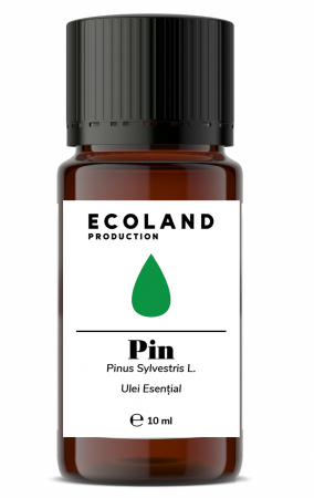 ESSENTIAL OILS - Ulei esential de Pin - 10 ml