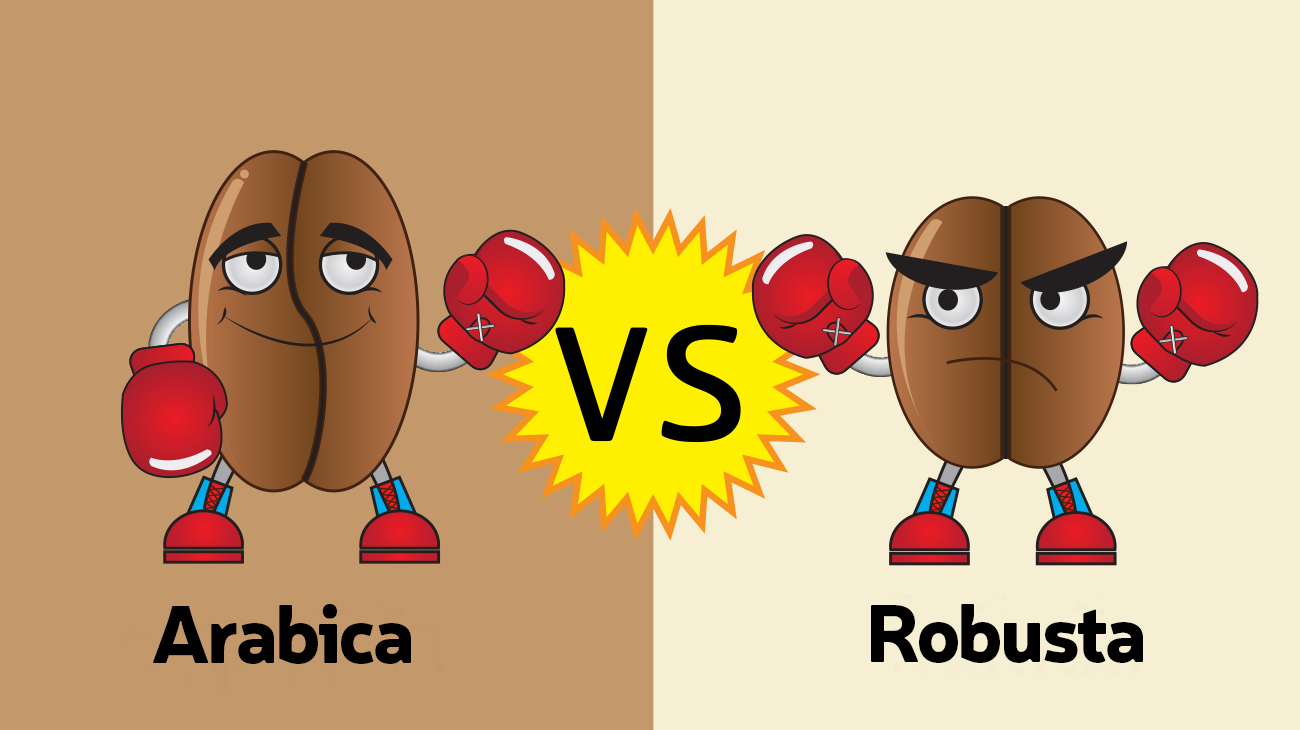 Cafea arabica vs. Cafea robusta – Principalele diferențe