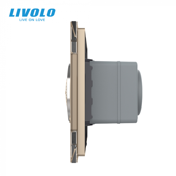 Difuzor Bluetooth, 2 module Livolo cu panou din sticla [2]