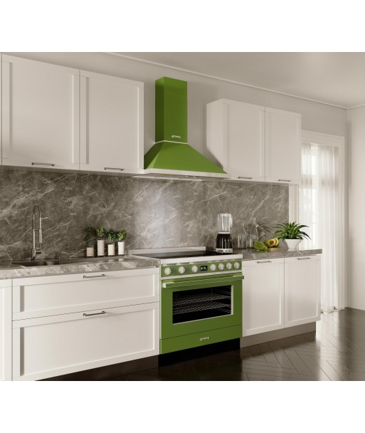 Hota Smeg Colectia Portofino verde olive 90 cm [2]