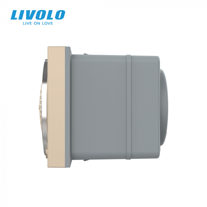 Modul difuzor Bluetooth, 2 module Livolo [2]