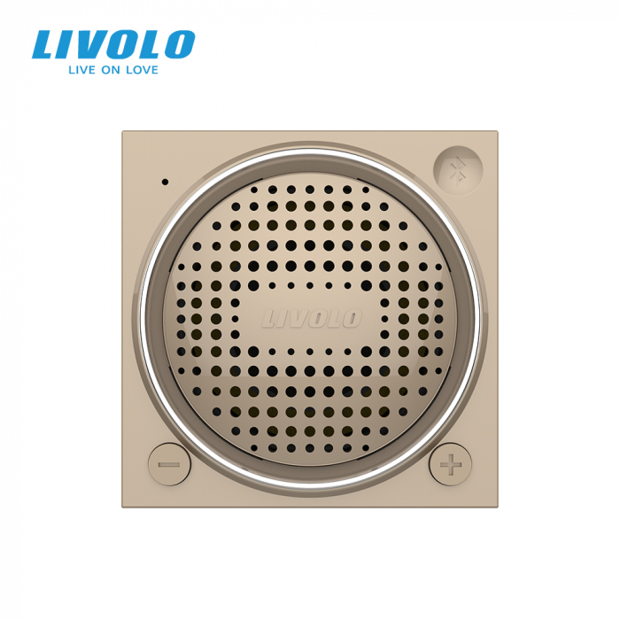 Modul difuzor Bluetooth, 2 module Livolo [3]