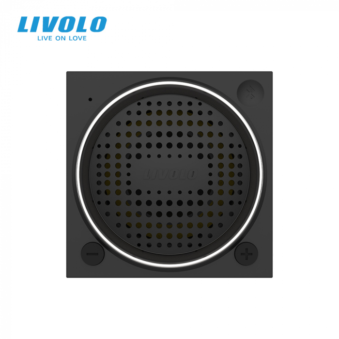 Modul difuzor Bluetooth, 2 module Livolo [3]