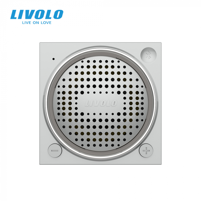 Modul difuzor Bluetooth, 2 module Livolo [3]
