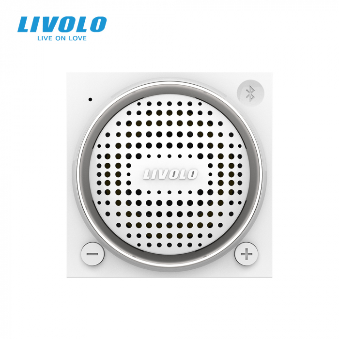 Modul difuzor Bluetooth, 2 module Livolo [3]