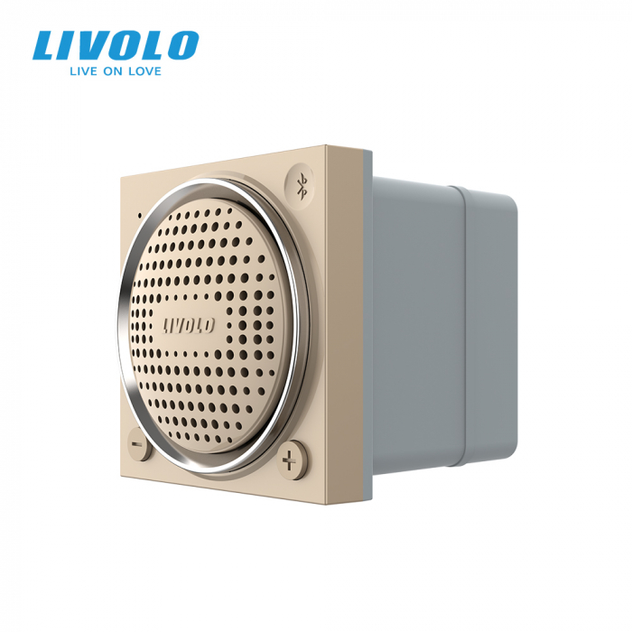 Modul difuzor Bluetooth, 2 module Livolo [1]