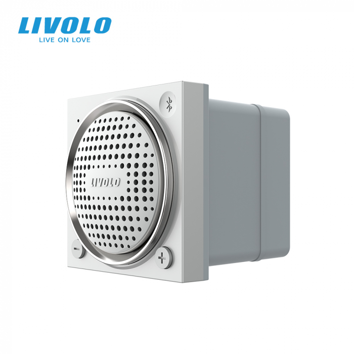 Modul difuzor Bluetooth, 2 module Livolo [1]