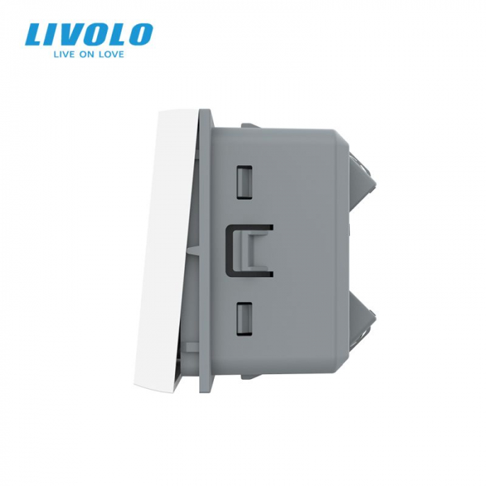 Modul Intrerupator mecanic cap cruce Livolo o tasta doua module [2]