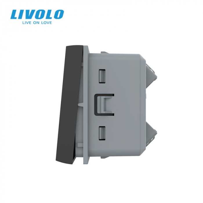 Modul Intrerupator mecanic cap cruce Livolo o tasta doua module [2]