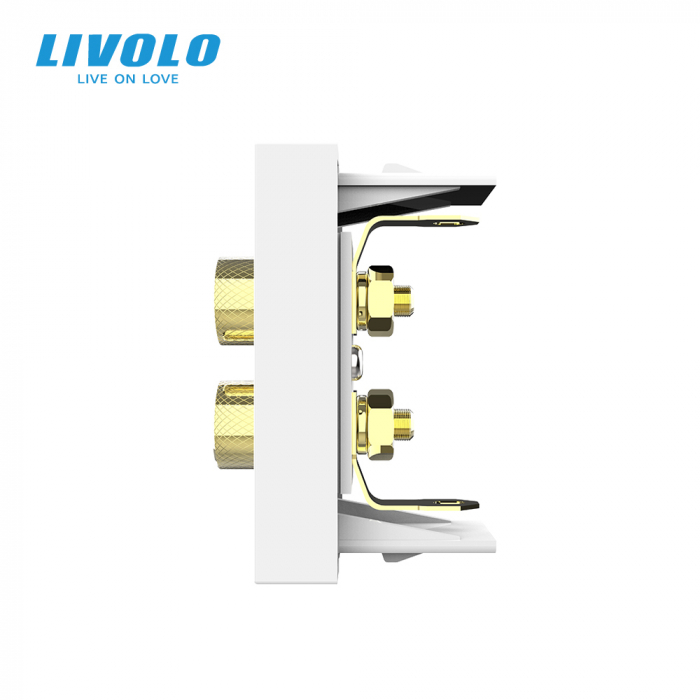 Modul priza cu mufa redare sunet 1M Livolo [2]