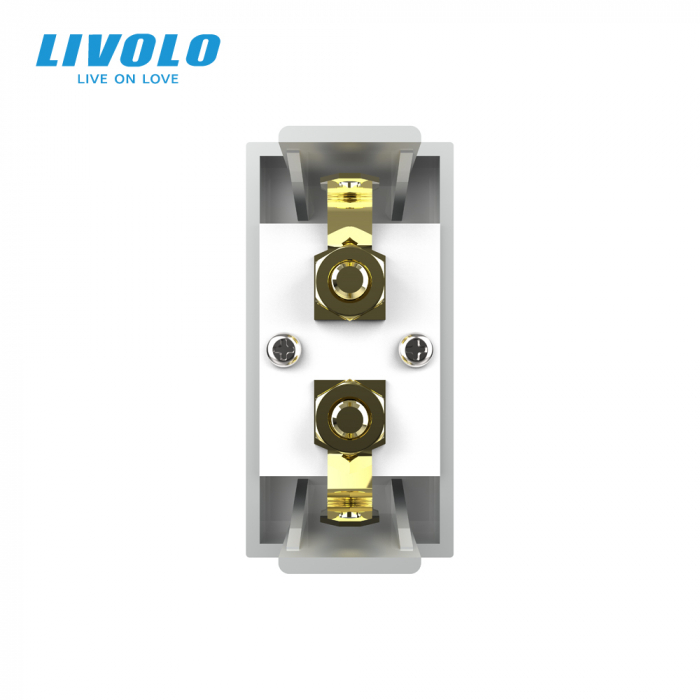 Modul priza cu mufa redare sunet 1M Livolo [4]