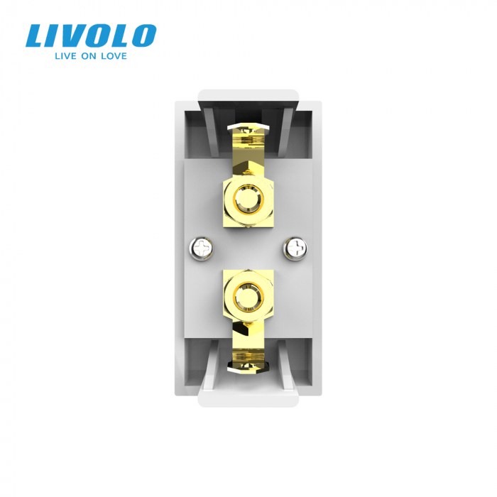 Modul priza cu mufa redare sunet 1M Livolo [4]