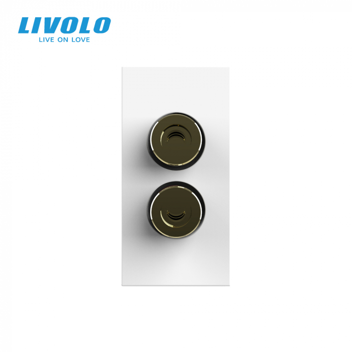 Modul priza cu mufa redare sunet 1M Livolo [3]