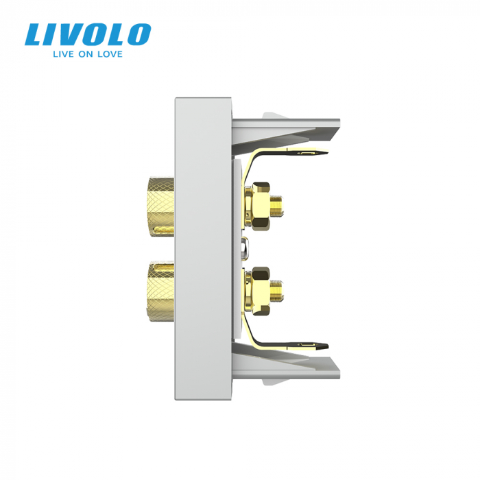 Modul priza cu mufa redare sunet 1M Livolo [2]