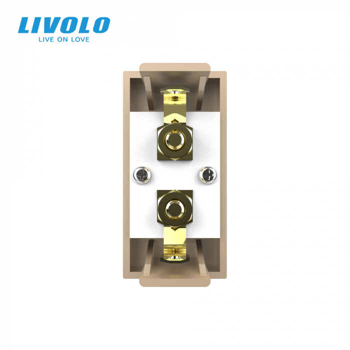 Modul priza cu mufa redare sunet 1M Livolo [4]