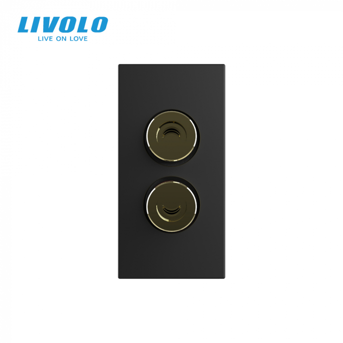 Modul priza cu mufa redare sunet 1M Livolo [3]